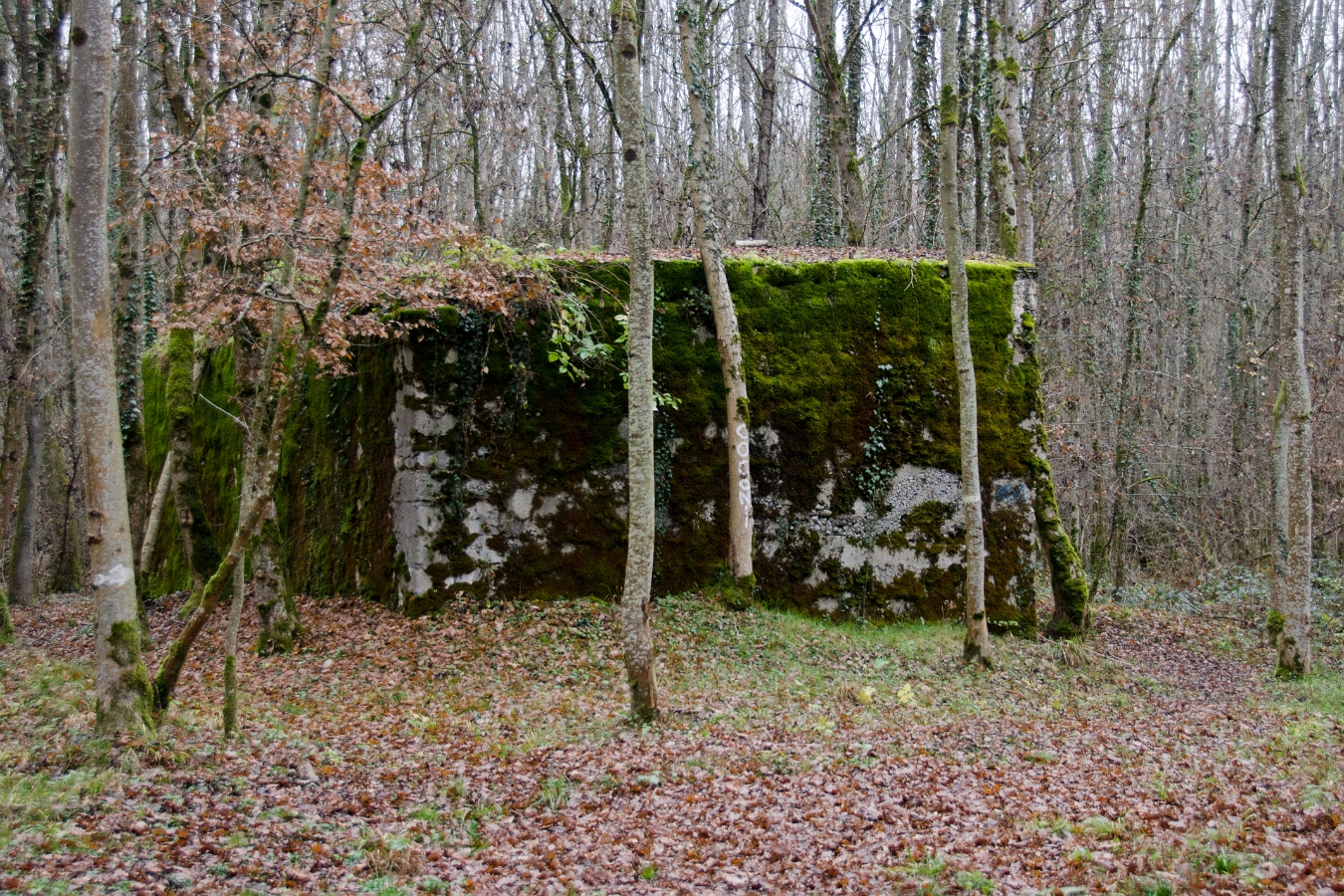 Bunkers 110207G-01