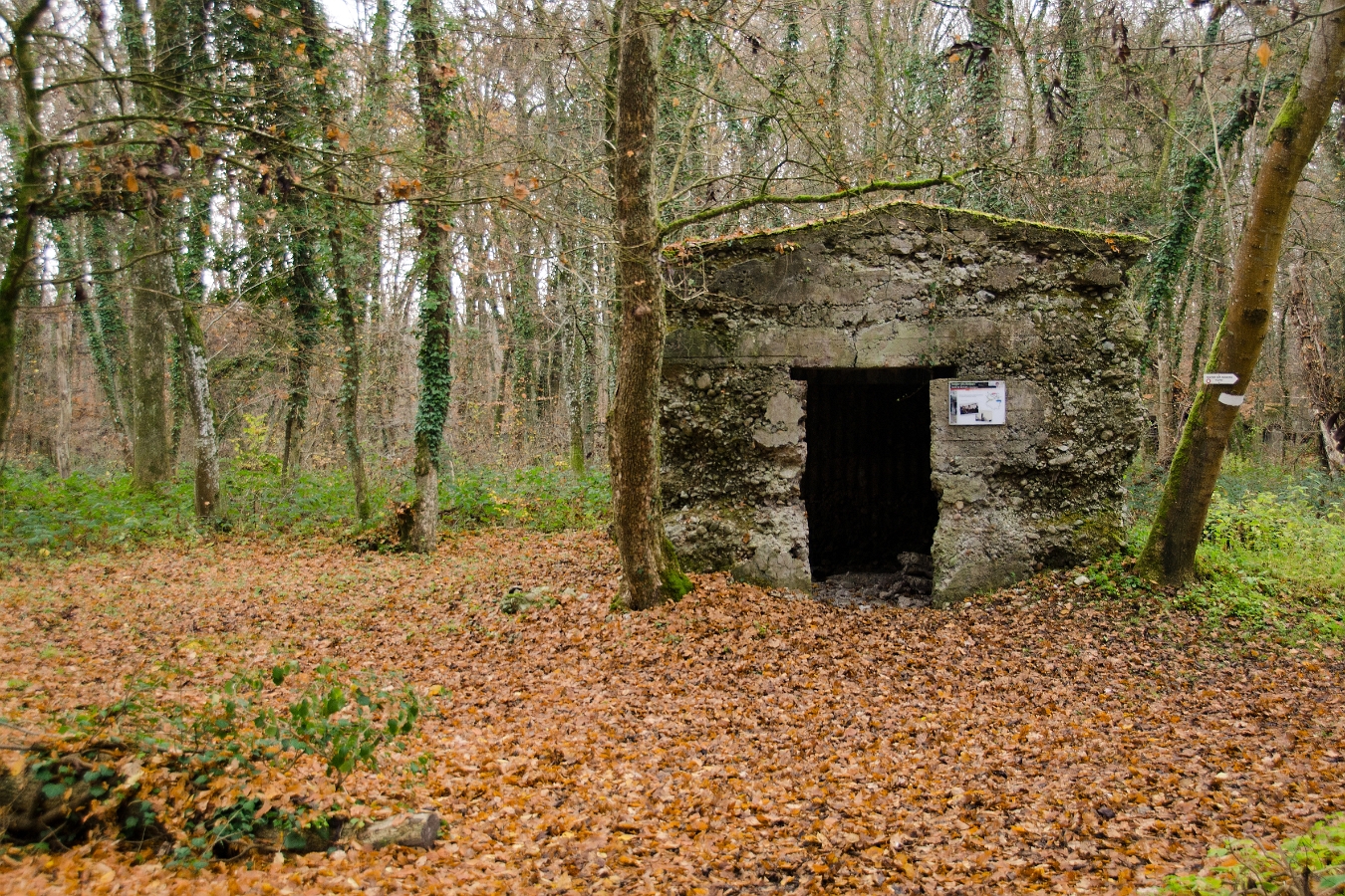 Bunkers 110813G-01