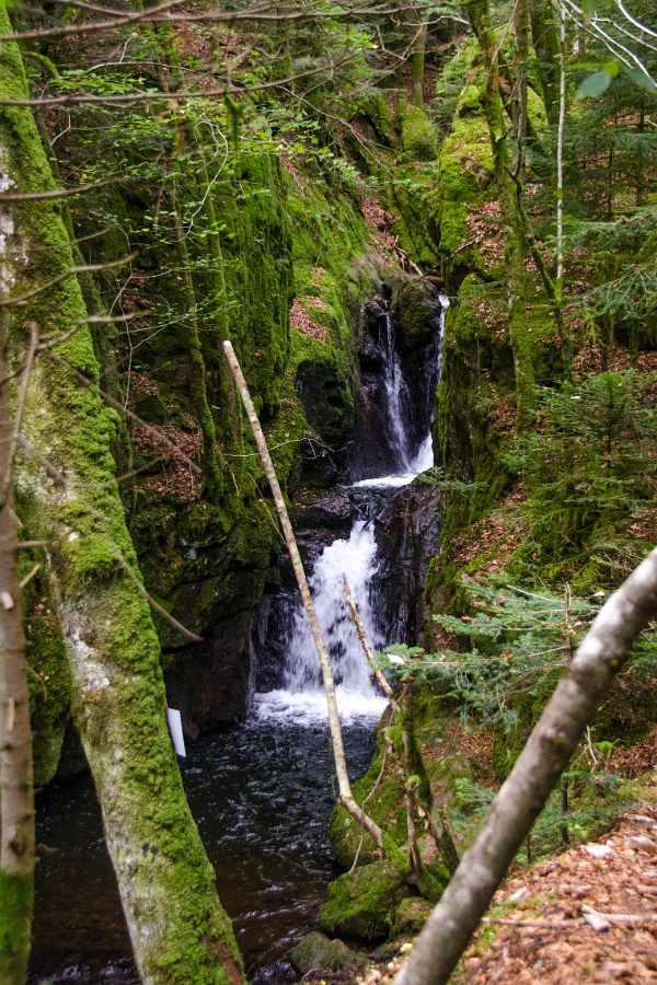 Sewen-Alfeld-14 0401-01