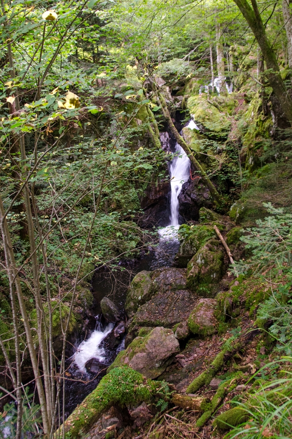 Sewen-Alfeld-14 0403-01