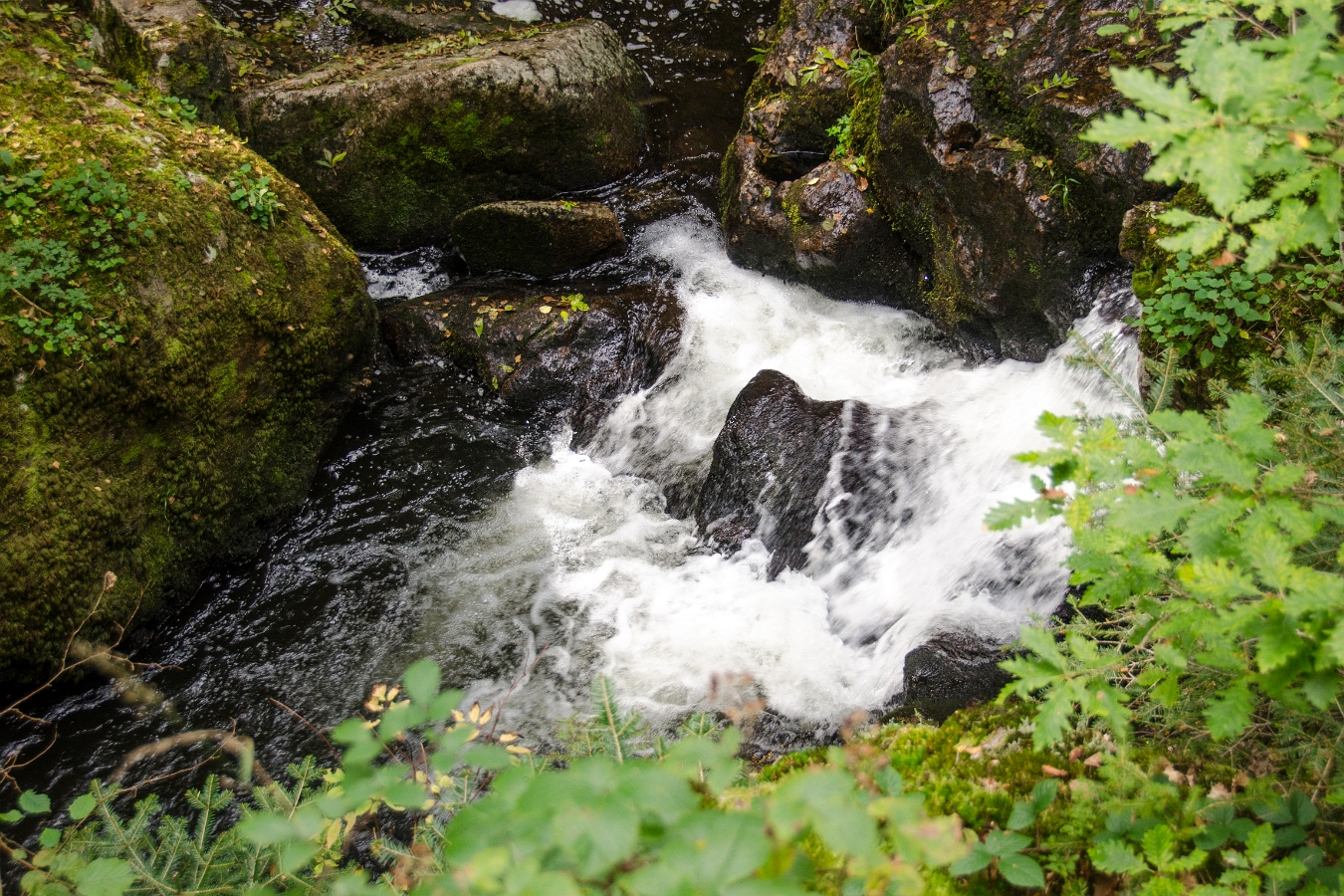 Sewen-Alfeld-14 0417-01