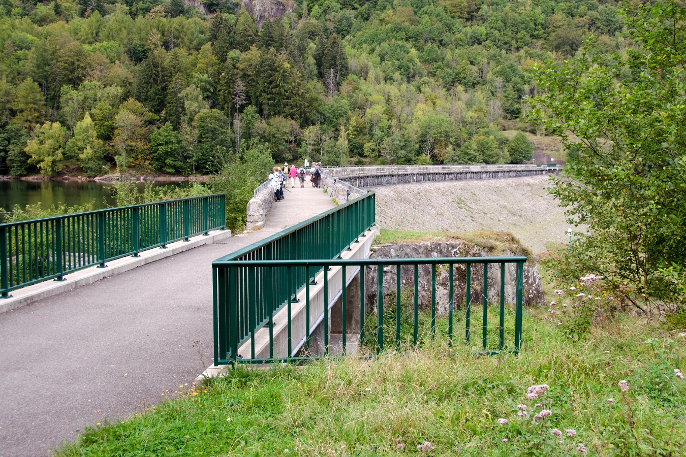 Sewen-Alfeld-14 0505-01